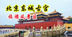 插女生小穴视频中国北京-东城古宫旅游风景区